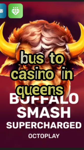bus to casino in queens-w4cy2mdjlx2bf.com